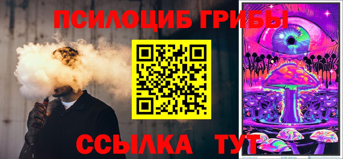 Фрязино  Галлюциногенные грибы MAGIC MUSHROOMS  Псилоцибиновые грибы Psilocybe  Вход с VPN 