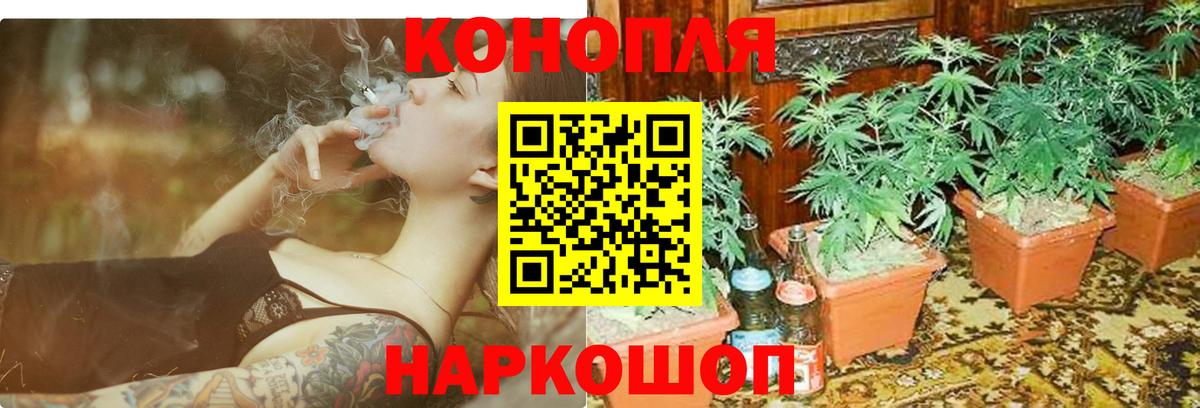 Конопля Amnesia  Вход с VPN  Шишки марихуана OG Kush  Марихуана AK-47  Фрязино 
